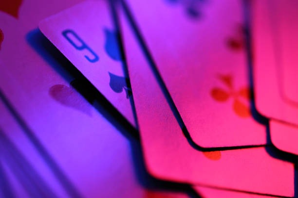 Live match updates and tournament standings display